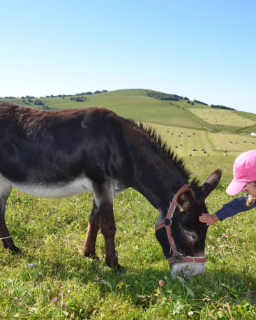 A la découverte des animaux de la ferme