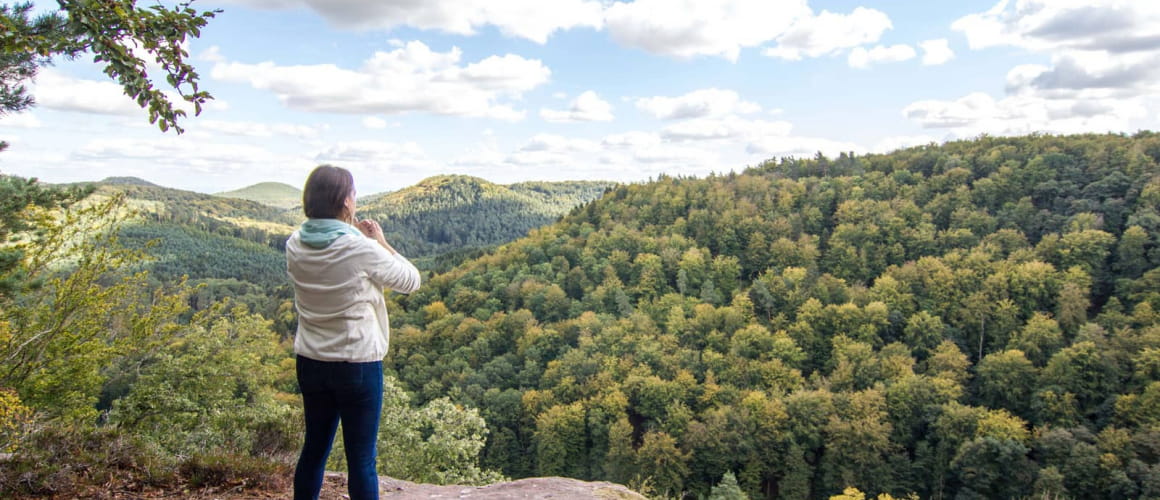 Massif des Vosges - Prendre un bain de forêt