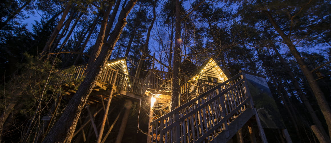 Cabanes dans les arbres