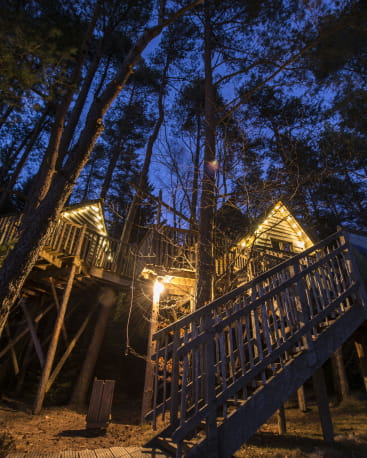Cabanes dans les arbres