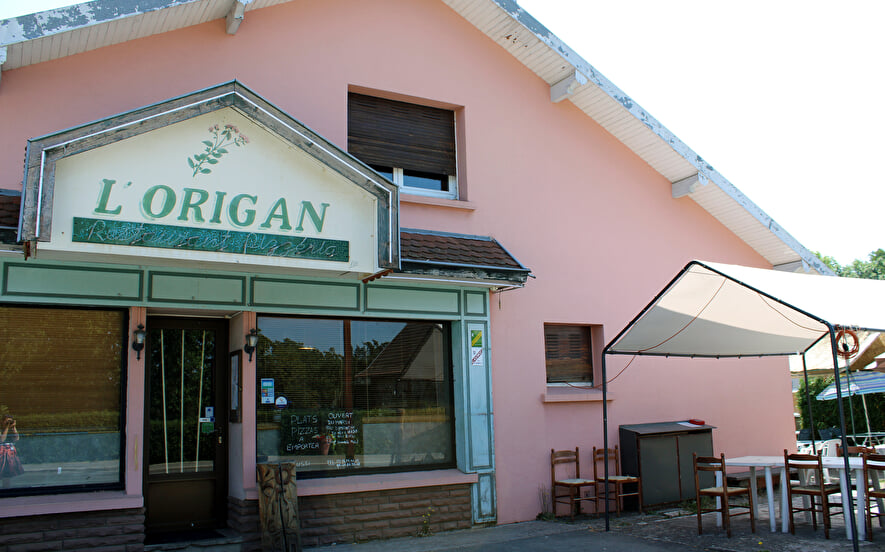 L'origan