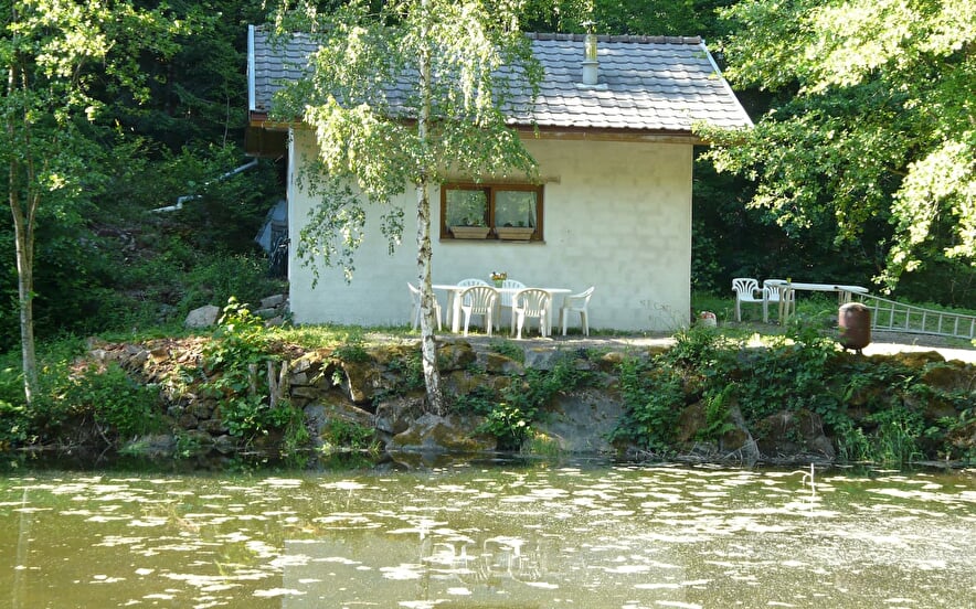 Le nid du moulin des oiseaux