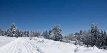 LE HAUT DU TÔT NORDIC SKI AREA