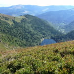 Refuge du Schiessrothried Vosges Trotters Colmar
