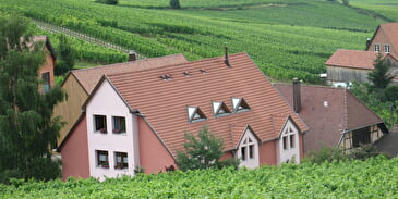 Furnished tourist accommodation ZIEGLER Daniel n°2