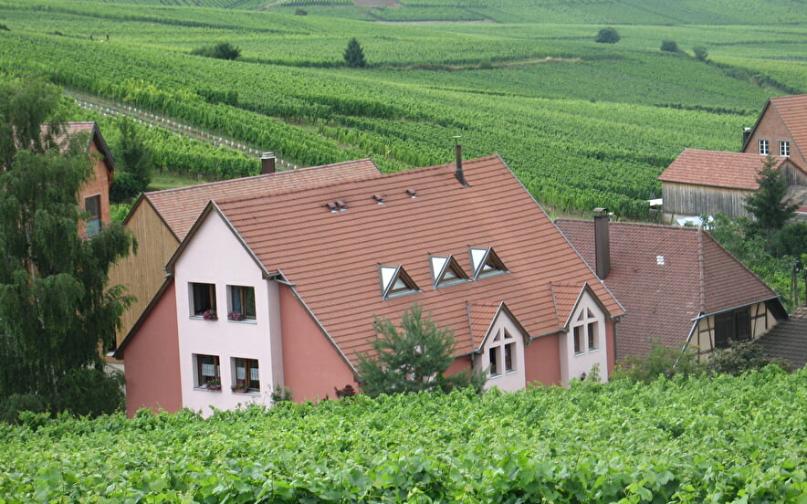 Furnished tourist accommodation ZIEGLER Daniel n°2