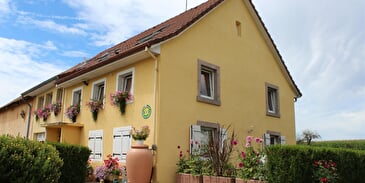 Gîte de la Bergeraine Violet