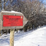 Nordic area in Schnepfenried