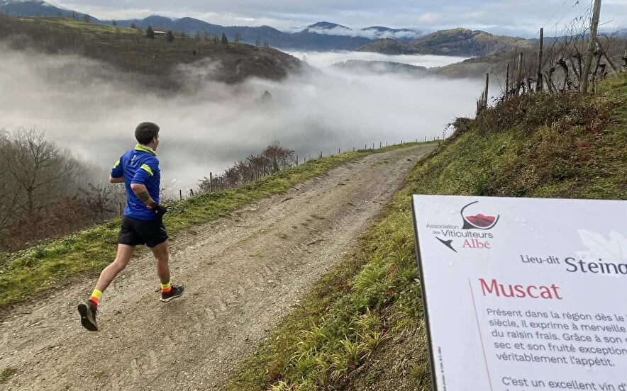 Trail de Wurzel
