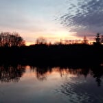 L'etang la dame