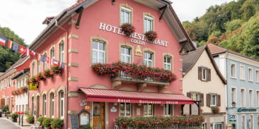 Restaurant Collin