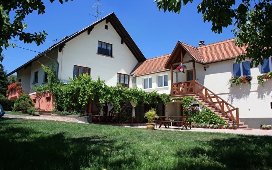 Gîte Rose des Vignes