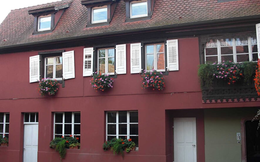 Holiday rental La Quiétude - Aimé LICHTENBERGER