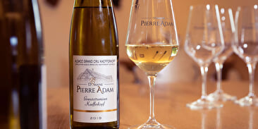 The Parenthèse Vigneronne ''Introduction to wine tasting''