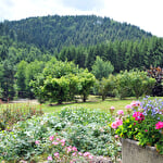 Auberge de la cholotte