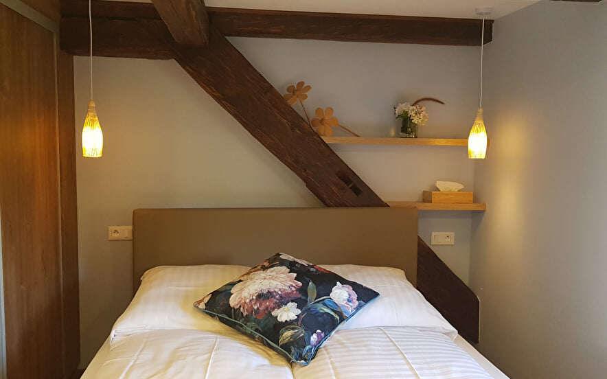 Le Cocon Enchanté