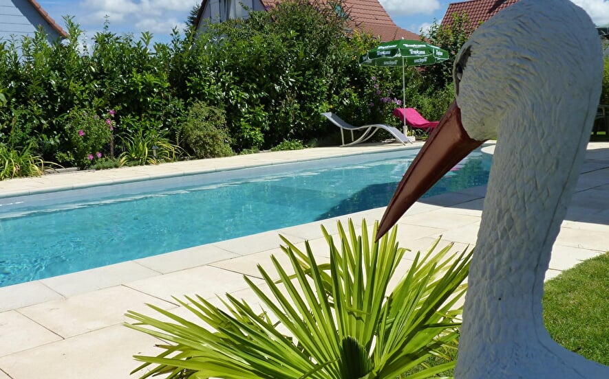 Guesthouse from Mr Christian HOLTZ : la Cigogne bleue