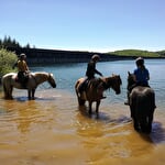 Les sabots dans l'eau
