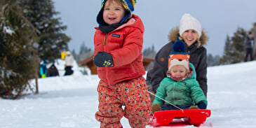 Secure toboggan run "Le Col du Calvaire"