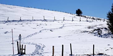 The Bagenelles sled