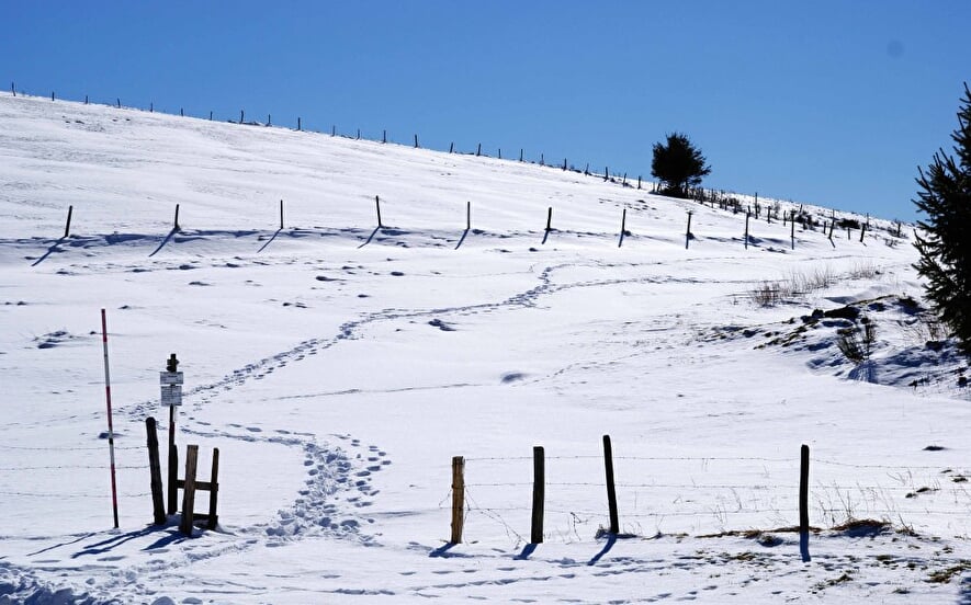 The Bagenelles sled