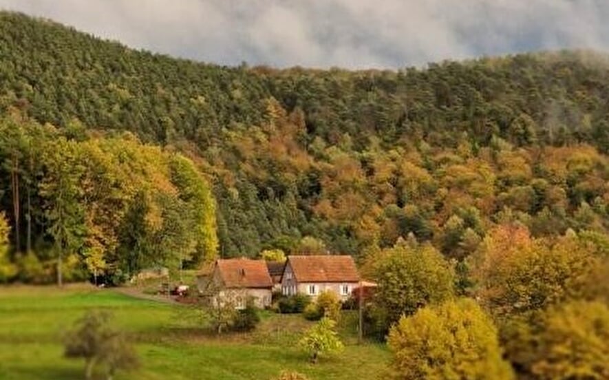 Accommodation of Mrs. Ball - Gîte du cabri