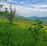 4 jours de randonnée sans bagages et bien-être dans les Vosges du Nord