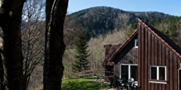 Guesthouse : gîte Sureau