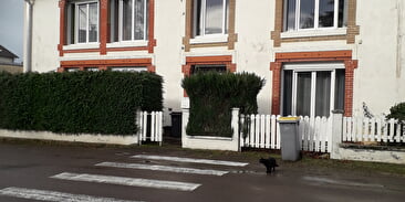 "On dirait le sud"