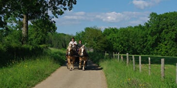 Attelage du Pays des Fontaines