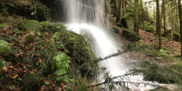 Cascade Mencke