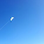 Kite flying
