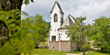 Hiking in the Welche Country