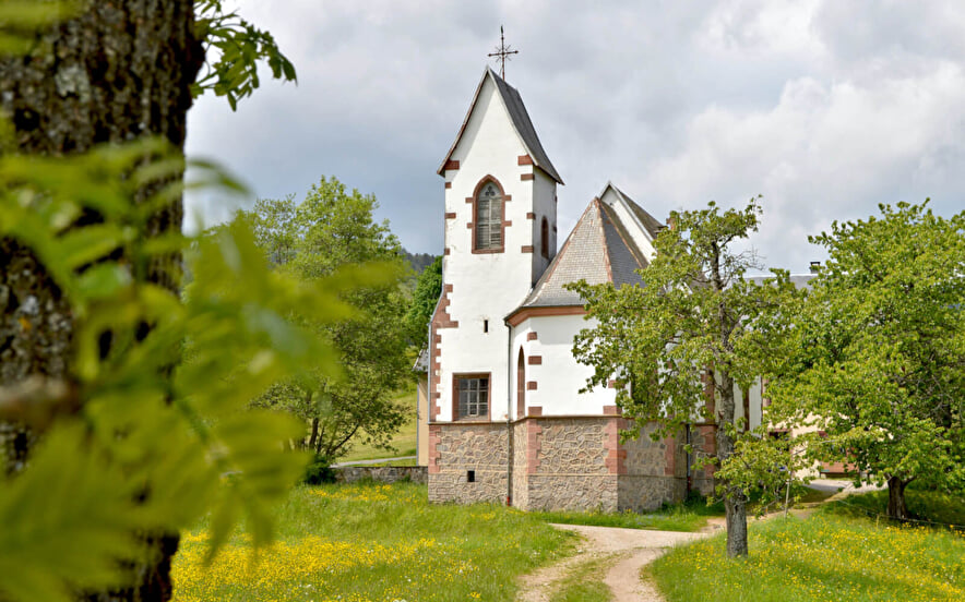 Hiking in the Welche Country