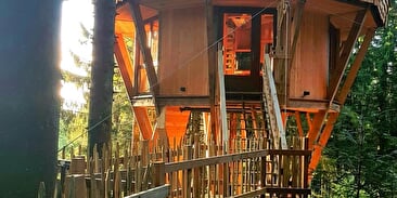 La cabane du bolet