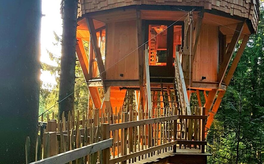 La cabane du bolet