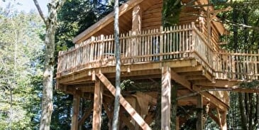La cabane du lynx