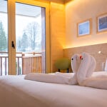 Hôtel-restaurant & Spa Mont Champ du Feu