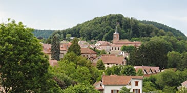 Aire de camping-car - Bruy'Aire en Vosges