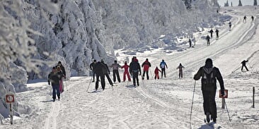 Cross-country skiing at the Champ du Feu