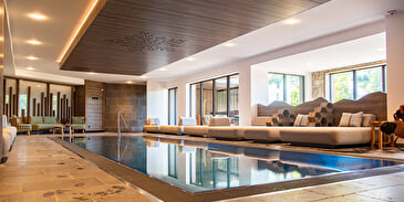 Spa Les Sources de la Meurthe - Wellness area