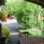 Guesthouse from Mrs Félice ZWINGELSTEIN : Gîte des Marguerites