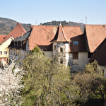 Guesthouse from Mr Thierry CLEMENT