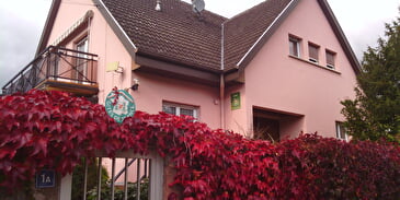 Gîte Papillon