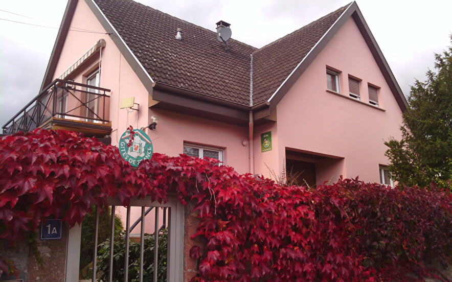 Gîte Papillon