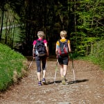A wealth of activities in La Petite Pierre country