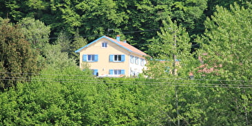 La mésange bleue