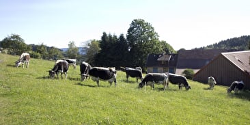 Ferme Neumann