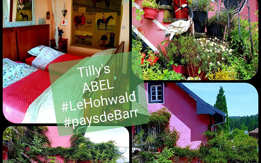 Holiday apartment Abel - HAZEMANN Elisabeth