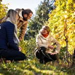 The Parenthèse Vigneronne ''Wine and Cheese''